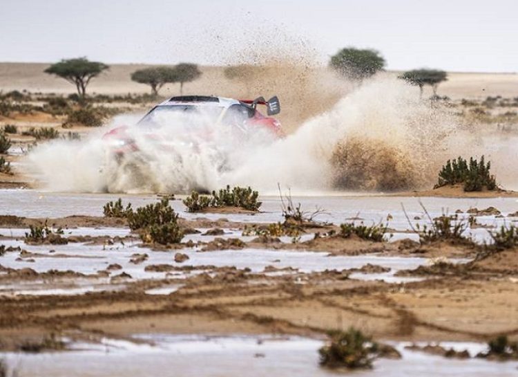 Етап 11 на Dakar: Харад - Шайбах