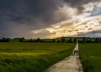 Кофас: Икономиката е устойчива, но перспективите остават песимистични